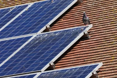 Shutterstock 2078469625