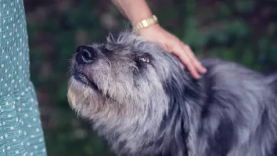 Simone dalmeri FUR242 Eu z4 unsplash