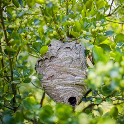 Shutterstock 1488386792