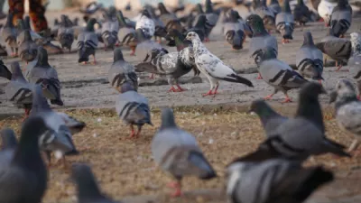 Shutterstock 1021681255