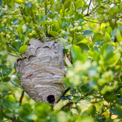 Shutterstock 1488386792