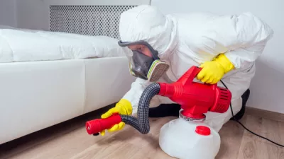 Greenpest staff treating bedbugs 1