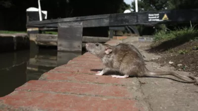 Shutterstock 149284415